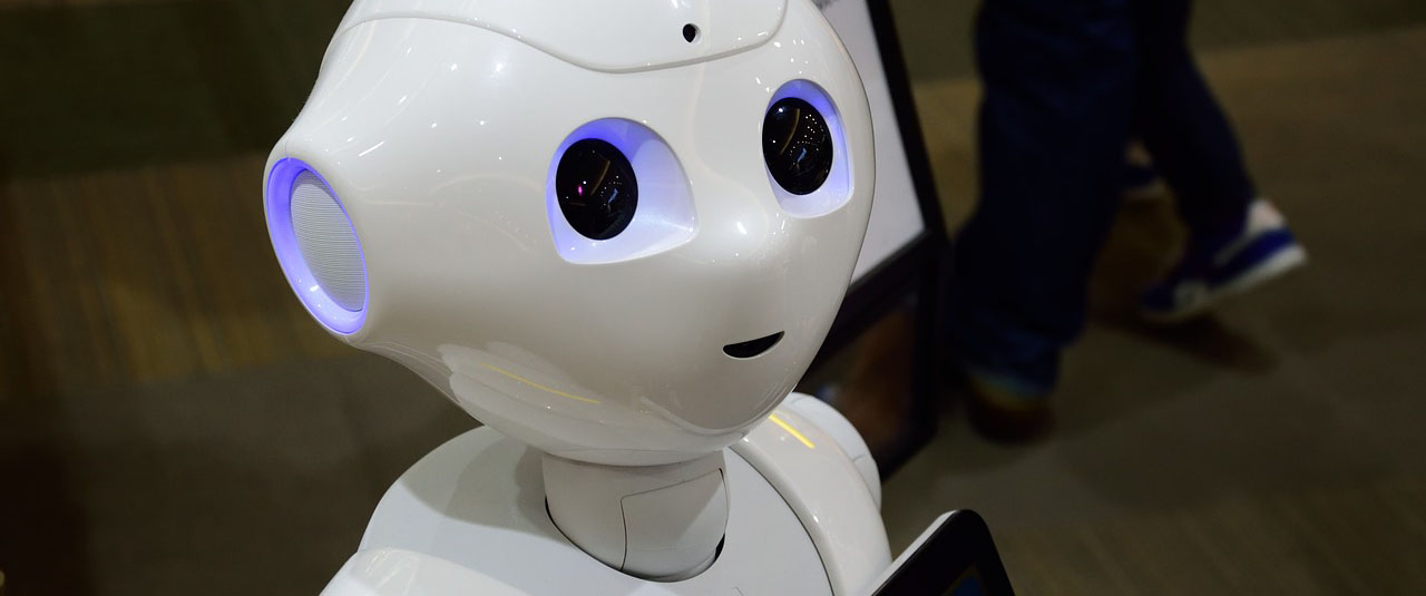 ICDL-competencias digitales